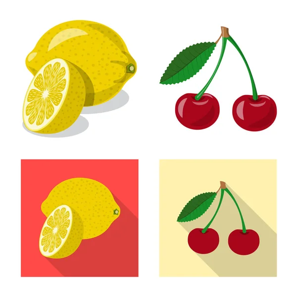 Diseño vectorial de símbolo vegetal y frutal. Colección de vegetales y vegetarianos símbolo de stock para la web . — Vector de stock