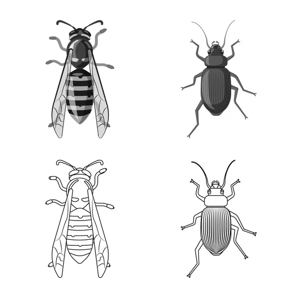 Векторная иллюстрация символа насекомого и мухи. Набор векторных иллюстраций насекомых и элементов . — стоковый вектор