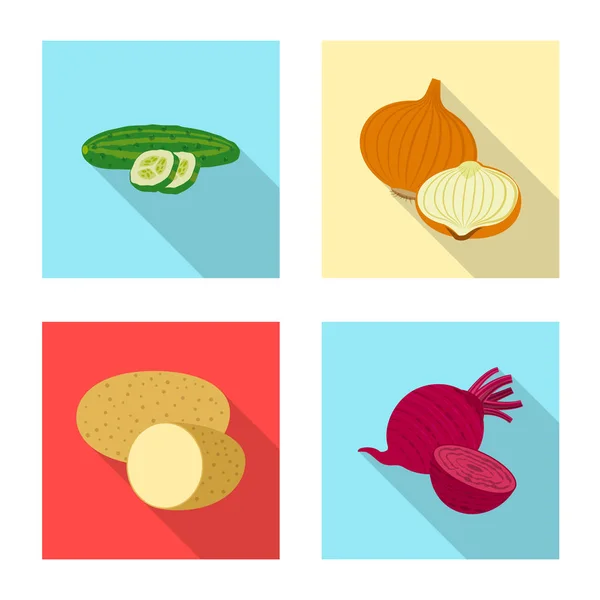 Illustrazione vettoriale dell'icona di frutta e verdura. Serie di illustrazione vettoriale di brodo vegetale e vegetariano . — Vettoriale Stock