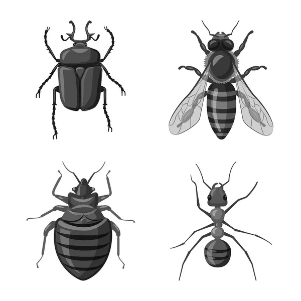 Oggetto isolato di insetto e segno di mosca. Set di icone vettoriali di insetti ed elementi per stock . — Vettoriale Stock