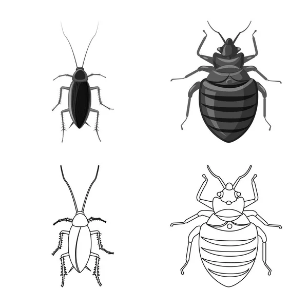 Vector ontwerp van insecten en vliegen symbool. Collectie van insect en element aandelensymbool voor web. — Stockvector