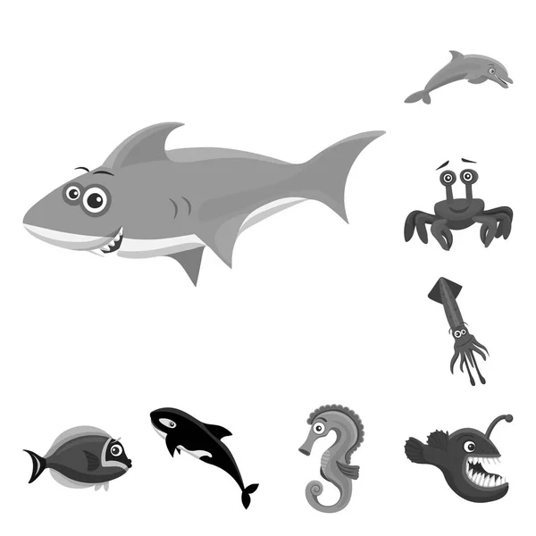 Diseño vectorial de mar y signo animal. Colección de mar y vector marino icono para stock . — Vector de stock
