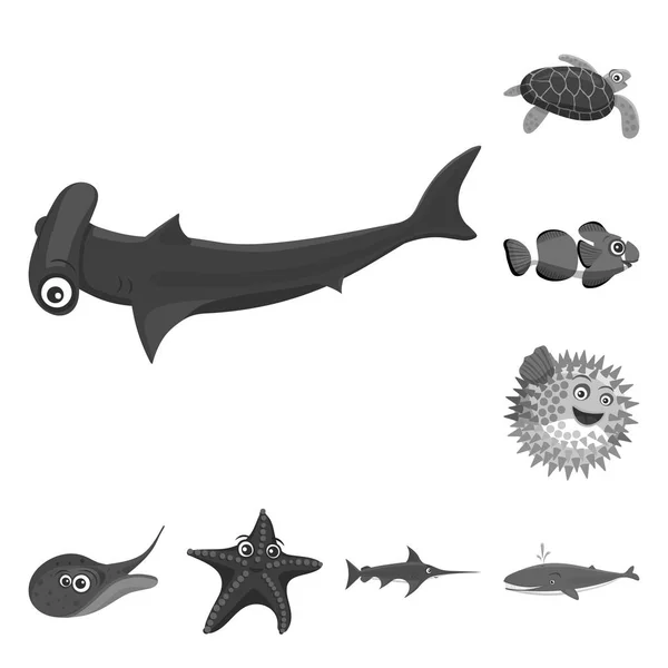 Objeto aislado del icono del mar y los animales. Colección de ilustración de vectores marinos y marinos . — Vector de stock