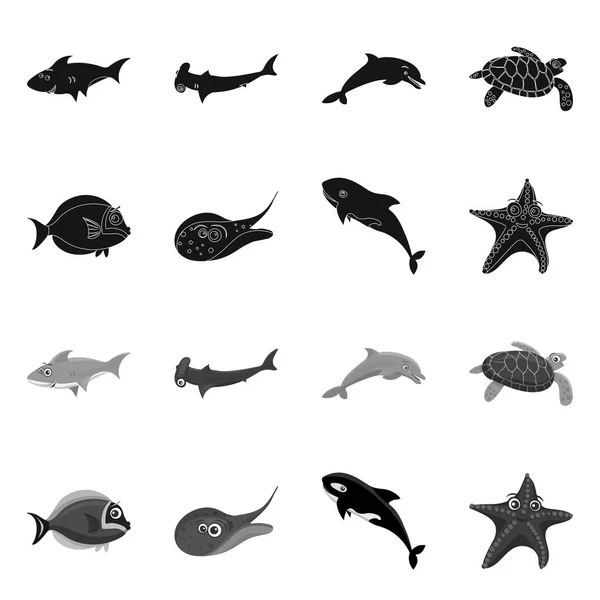 Isolated object of sea and animal logo. Set of sea and marine vector icon for stock. — Stock Vector