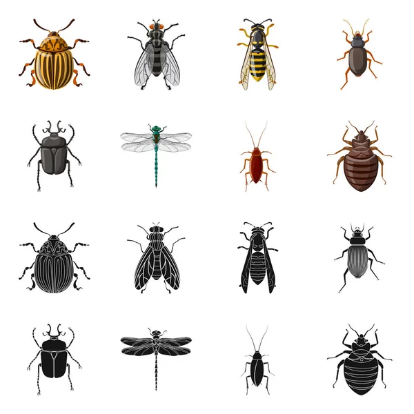 Vectorillustratie van insecten en vliegen logo. Set insect en element voorraad vectorillustratie. — Stockvector