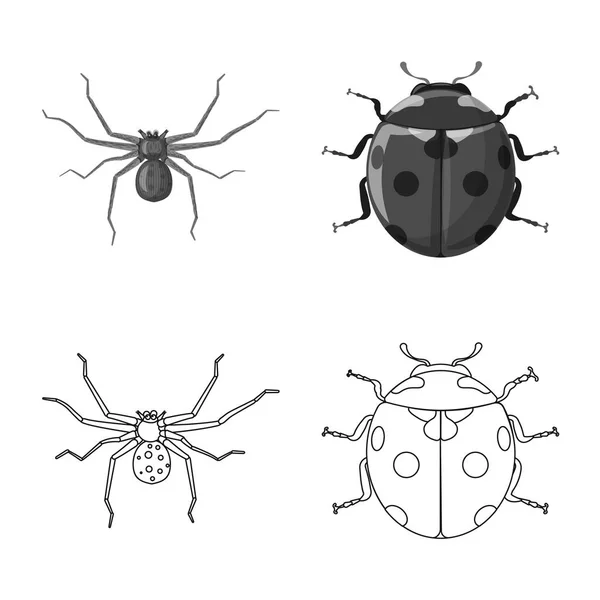 Objet isolé d'insecte et symbole de mouche. Ensemble d'illustration vectorielle de stock d'insectes et d'éléments . — Image vectorielle