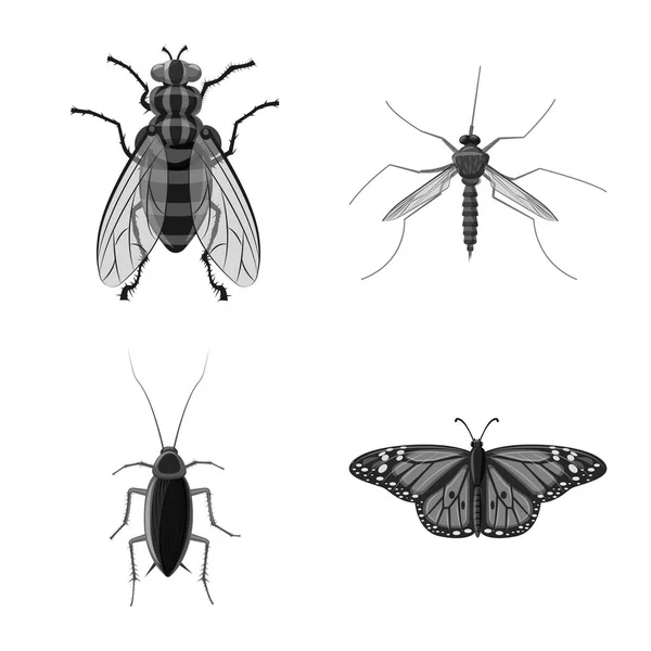 Isoliertes Insekten- und Fliegensymbol. Set von Insekten- und Elementlagersymbol für das Netz. — Stockvektor