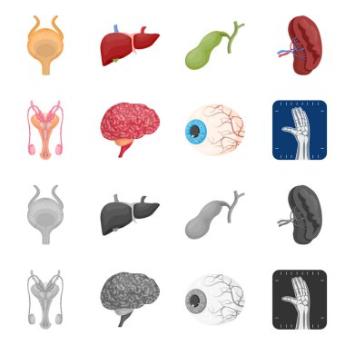 Vücut ve insan sembolü yalıtılmış nesne. Vücut ve hisse senedi için tıbbi vektör ikon koleksiyonu.