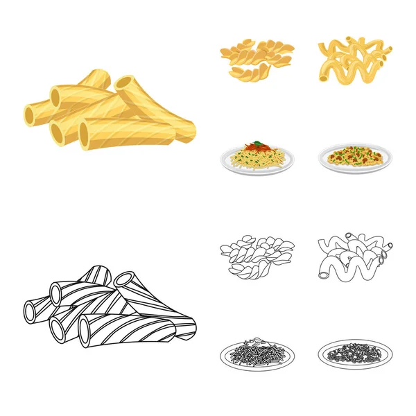 Diseño vectorial de pasta y signo de carbohidratos. Set de pasta y macarrones vector icono para stock . — Vector de stock