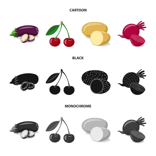 Design vettoriale del simbolo vegetale e della frutta. Raccolta di illustrazione vettoriale di brodo vegetale e vegetariano . — Vettoriale Stock