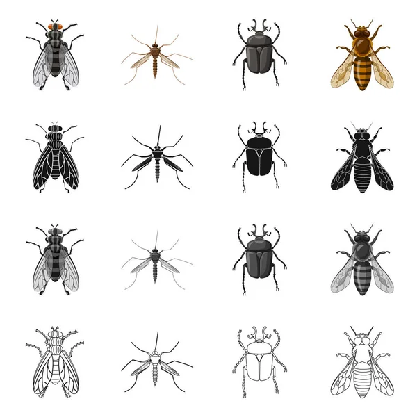Isoliertes Insekten- und Fliegensymbol. Set von Insekten- und Elementvektorsymbolen für Aktien. — Stockvektor