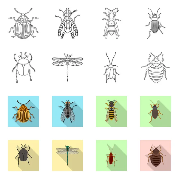 Isoliertes Objekt mit Insekten- und Fliegenlogo. Insekten- und Elementaktivvektorillustration. — Stockvektor