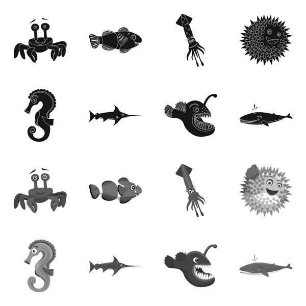 Objeto aislado del icono del mar y los animales. Colección de mar y vector marino icono para stock . — Vector de stock