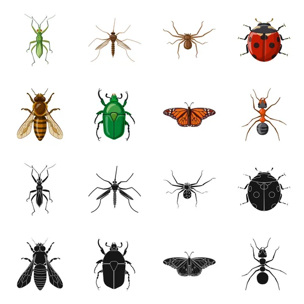 Ilustración vectorial del icono de insectos y moscas. Conjunto de insecto y elemento símbolo de stock para web . — Vector de stock