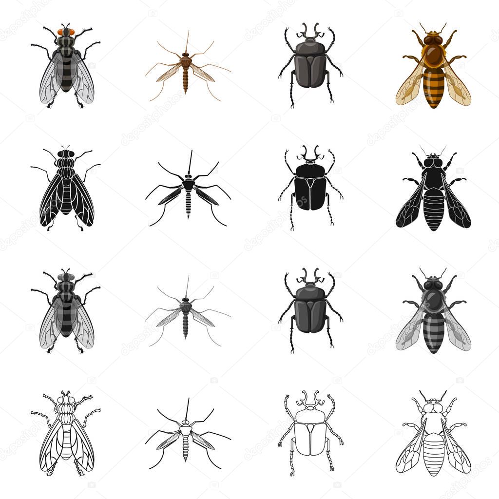 Vector design of insect and fly symbol. Collection of insect and element stock symbol for web.