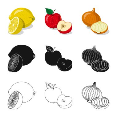 Sebze ve meyve simgesi yalıtılmış nesne. Sebze ve vejeteryan hisse senedi vektör çizim seti.