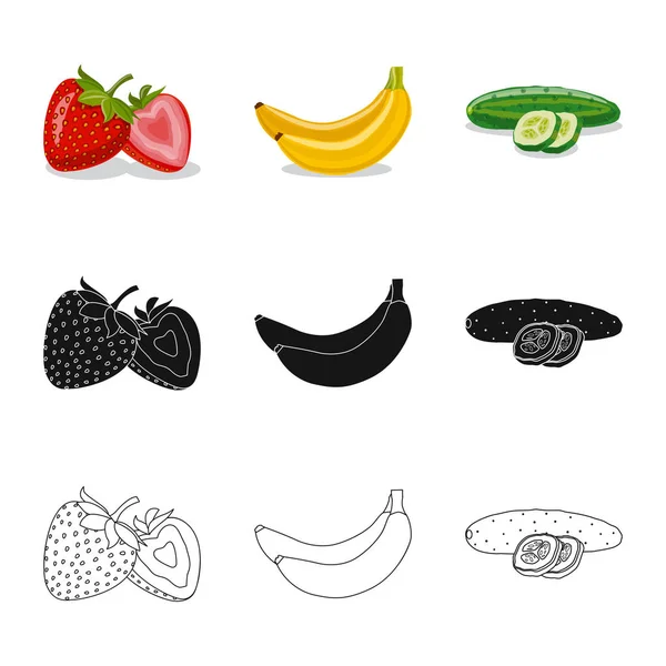 Ilustración vectorial del logotipo de verduras y frutas. Conjunto de vegetal y vegetariano símbolo de stock para la web . — Vector de stock