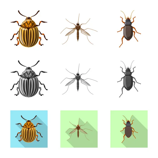 Vector ontwerp van insecten en vliegen symbool. Set insect en element aandelensymbool voor web. — Stockvector
