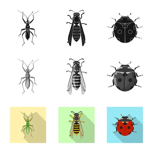 Vektorillustration des Insekten- und Fliegenlogos. Set von Insekten- und Elementvektorsymbolen für Aktien. — Stockvektor