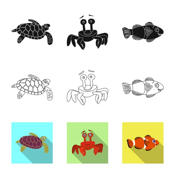 Diseño vectorial de mar y signo animal. Conjunto de ilustración de vectores marinos y marinos . — Vector de stock