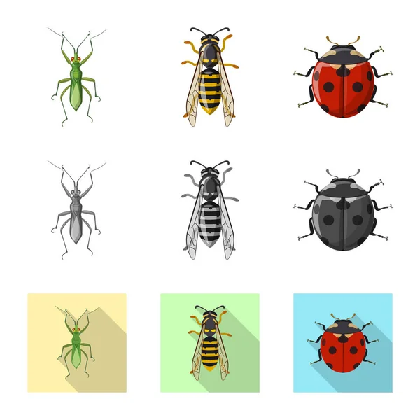 Ilustração vetorial de inseto e mosca. Coleção de ilustração vetorial de estoque de insetos e elementos . — Vetor de Stock