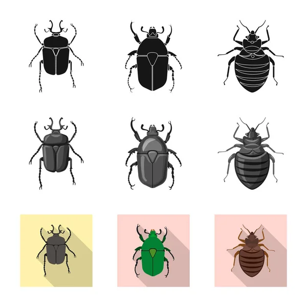 Objet isolé d'insecte et icône de mouche. Collection d'insectes et d'éléments symbole de stock pour la toile . — Image vectorielle