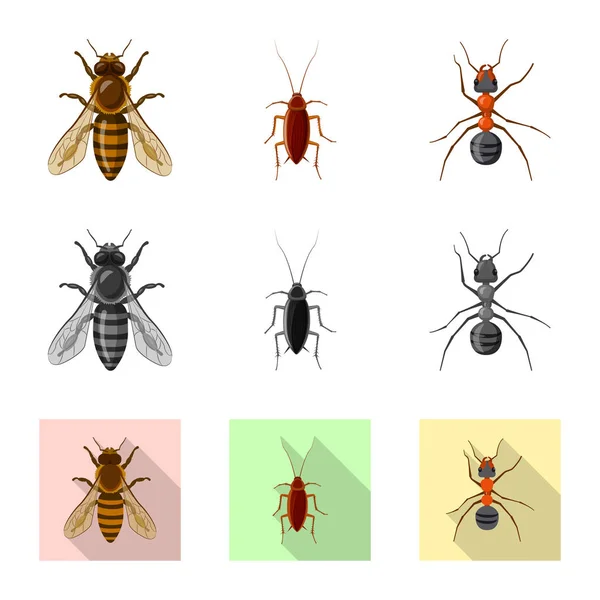 Diseño vectorial del logotipo de insectos y moscas. Colección de insectos y símbolo de stock de elementos para la web . — Vector de stock