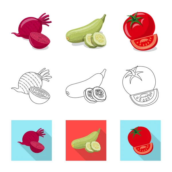 Diseño vectorial de signo vegetal y frutal. Conjunto de vegetal y vegetariano símbolo de stock para la web . — Archivo Imágenes Vectoriales