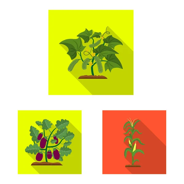Ilustración vectorial del logotipo verde y vegetal. Conjunto de ilustración de vector de stock verde y jardín . — Vector de stock