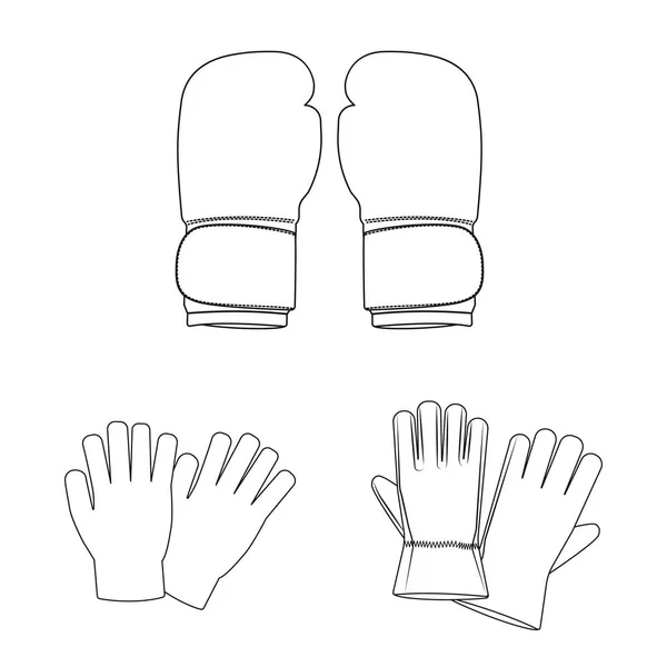 Vektor-Illustration von Handschuh und Winterlogo. Set von Handschuhen und Ausrüstung Vektor-Symbol für Lager. — Stockvektor