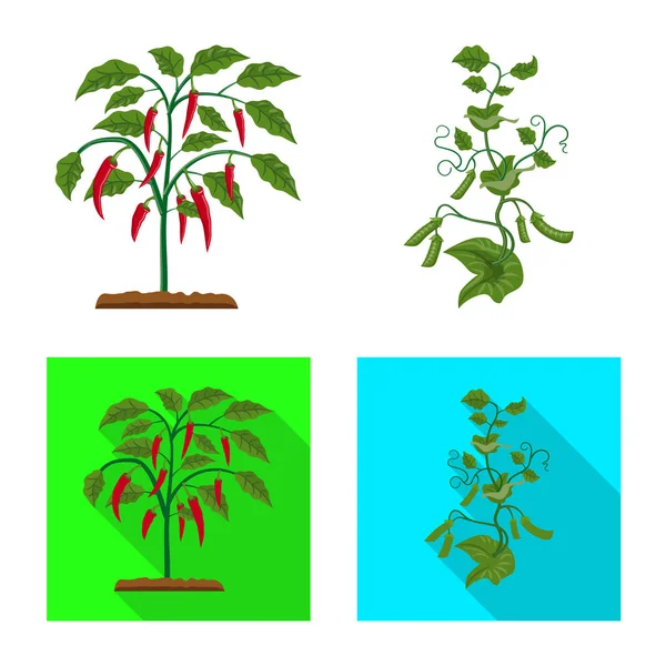 Objeto aislado del ícono verde y vegetal. Conjunto de verde y el símbolo de stock de jardín para la web . — Vector de stock