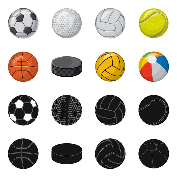 Vector illustration of sport and ball symbol. Set of sport and athletic stock symbol for web. — Stock Vector