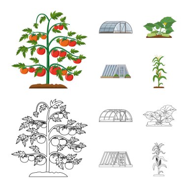 Greenhous tasarım vektör ve işareti bitki. Greenhous ve web için bahçe hisse senedi simgesi.