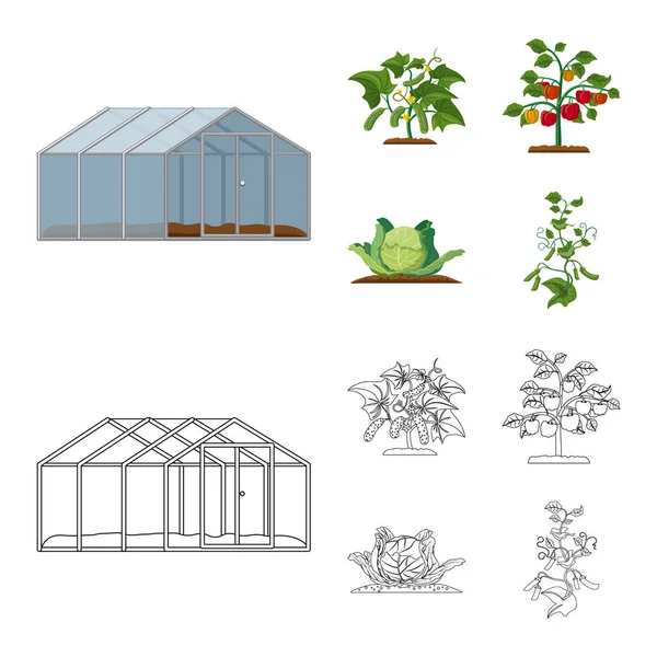 Ilustración vectorial del logotipo verde y vegetal. Colección de verde y el símbolo de stock de jardín para la web . — Vector de stock