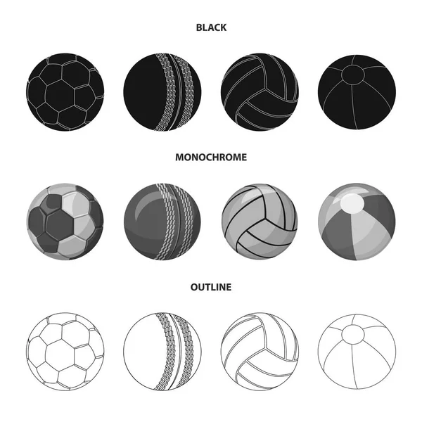 Diseño vectorial del icono del deporte y la pelota. Colección de deporte y símbolo de stock atlético para la web . — Archivo Imágenes Vectoriales