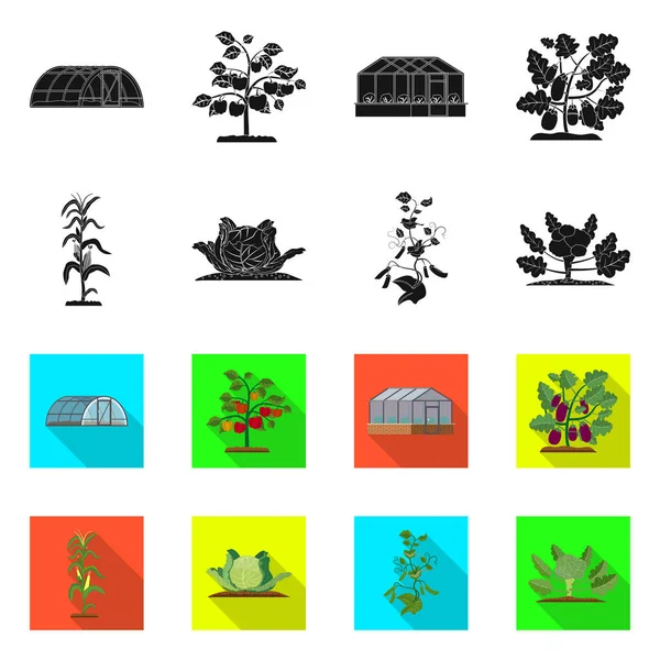 Vektorillustration des grünen und pflanzlichen Symbols. Set von Greenhous und Garten-Vektor-Symbol für Aktien. — Stockvektor