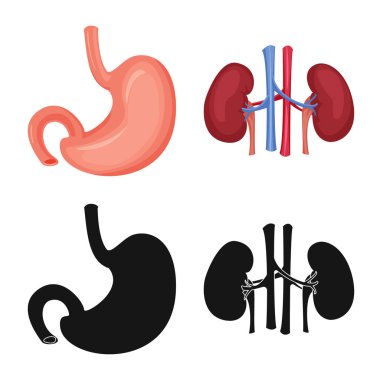 Vücut ve insan logo vektör tasarımı. Vücut ve hisse senedi için tıbbi vektör ikon koleksiyonu.