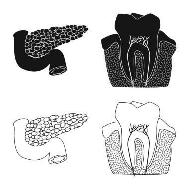 Vücut ve insan simge vektör tasarımı. Vücut ve web için tıbbi hisse senedi simgesi toplama.