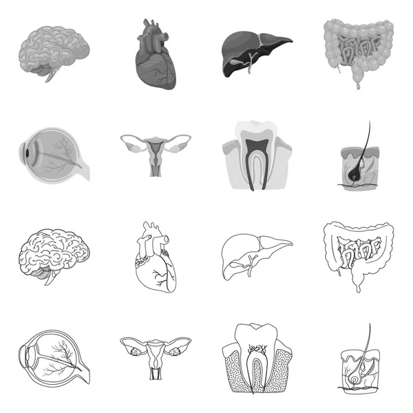 Na białym tle obiekt i symbol ludzkiego ciała. Zestaw ciała i medycznych Stockowa ilustracja wektorowa. — Wektor stockowy