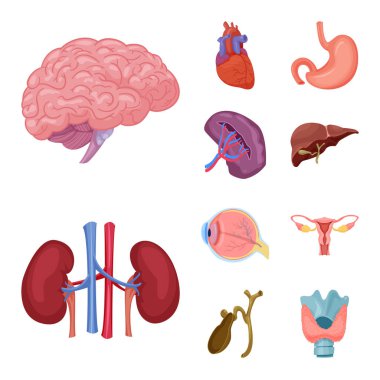 Vücut ve insan simge vektör tasarımı. Vücut ve tıbbi hisse senedi vektör çizim.