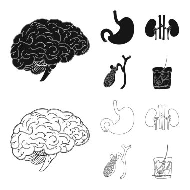 Vücut ve insan logo vektör çizimi. Vücut ve hisse senedi için tıbbi vektör ikon koleksiyonu.