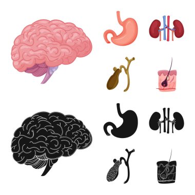 Vücut ve insan simge vektör tasarımı. Vücut ve tıbbi hisse senedi vektör çizim.