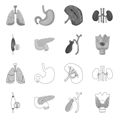Vücut ve insan logo vektör tasarımı. Vücut ve tıbbi hisse senedi vektör çizim koleksiyonu.