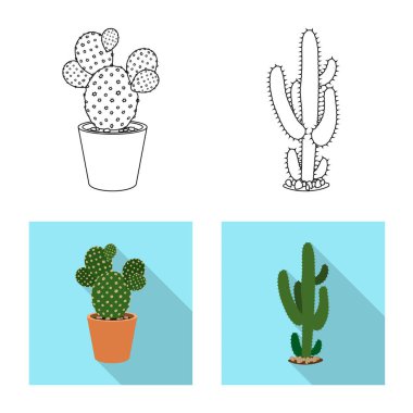 Kaktüs ve pot işareti yalıtılmış nesne. Kaktüs ve kaktüsler hisse senedi vektör çizim koleksiyonu.