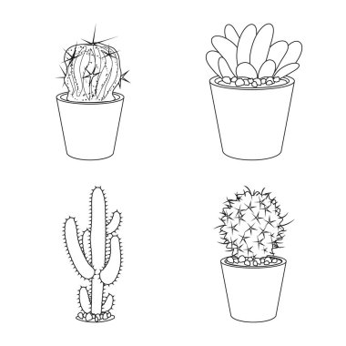 Kaktüs ve pot simgesi yalıtılmış nesne. Kaktüs ve kaktüsler koleksiyonu stok web simgesi.
