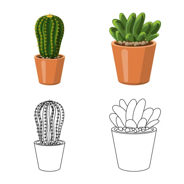 Izolovaný objekt kaktus a květináč Sign. Sada kaktus a kaktusy vektorové ilustrace. — Stockový vektor
