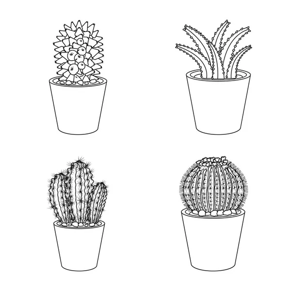 Elkülönített objektum kaktusz és a pot jel. Kaktusz és kaktuszok tőzsdei szimbólum a web. — Stock Vector