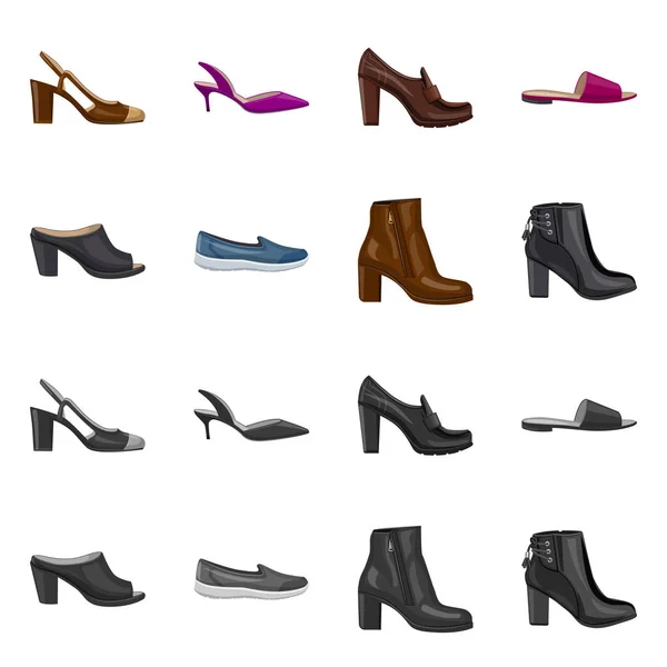 Vector design of footwear and woman symbol. Collection of footwear and foot stock symbol for web. — Stock Vector