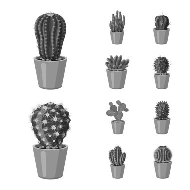 Kaktüs ve pot simge vektör Illustration. Kaktüs ve kaktüsler koleksiyonu vektör hisse senedi simgesi.