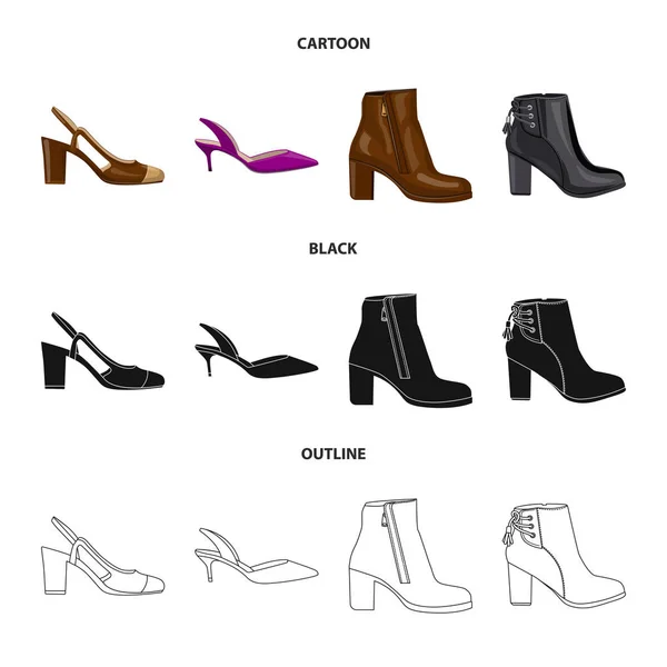 Ayakkabı ve kadın logo vektör tasarımı. Ayakkabı gibi ayarla ve vektör simge stok ayak. — Stok Vektör